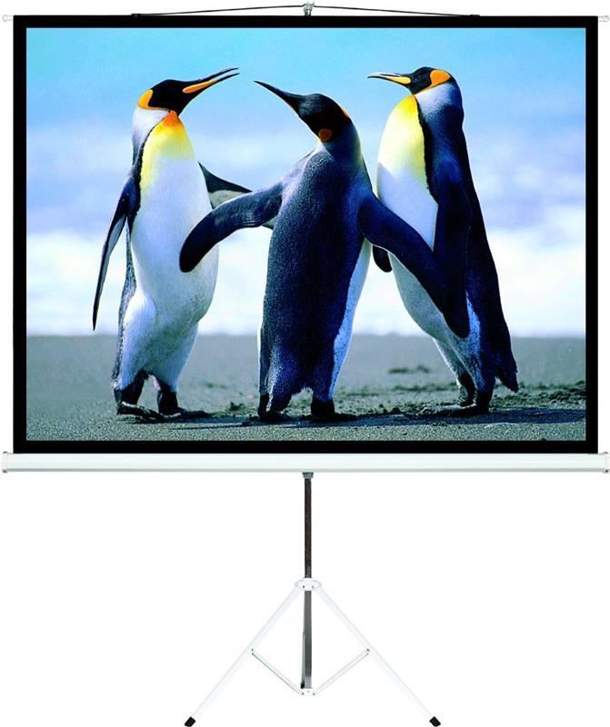 pantalla-p-proyector-c-tripode-120