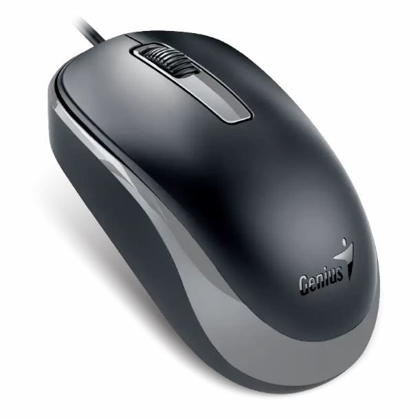 mouse-genius-dx-125s-usb-black-grey
