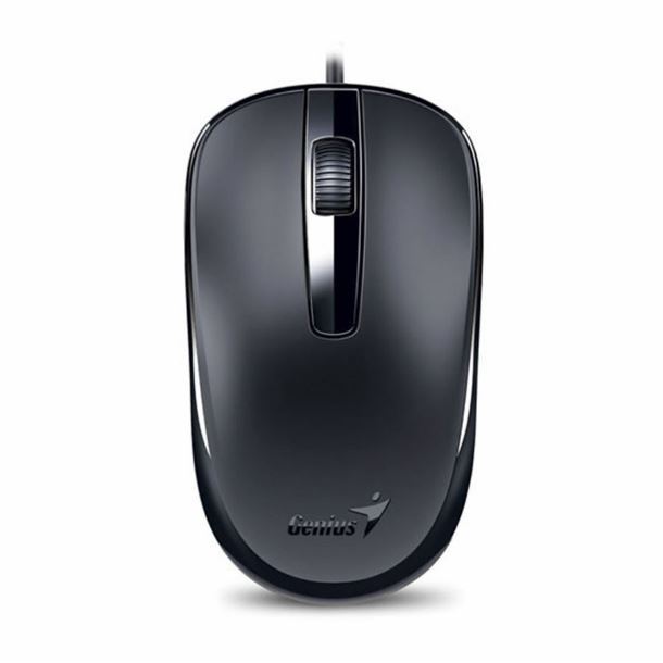 mouse-genius-dx-120-usb-black